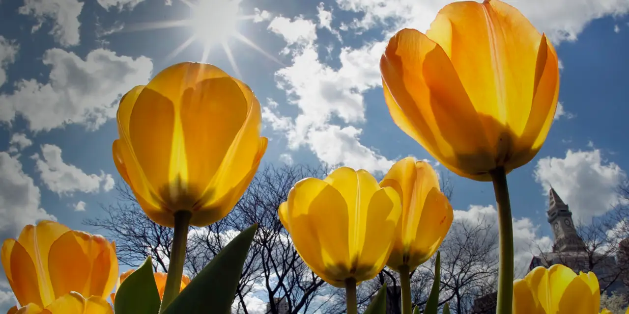 Spring HVAC Maintenance